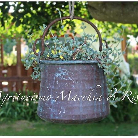Agriturismo Macchia Di Riso Nova Siri Marina Kültér fotó