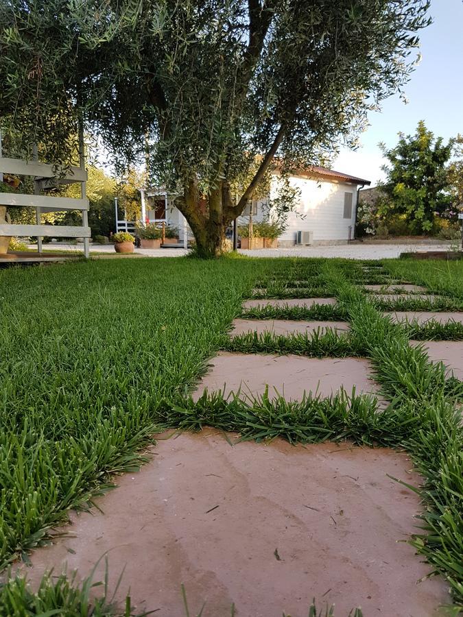 Agriturismo Macchia Di Riso Nova Siri Marina Kültér fotó